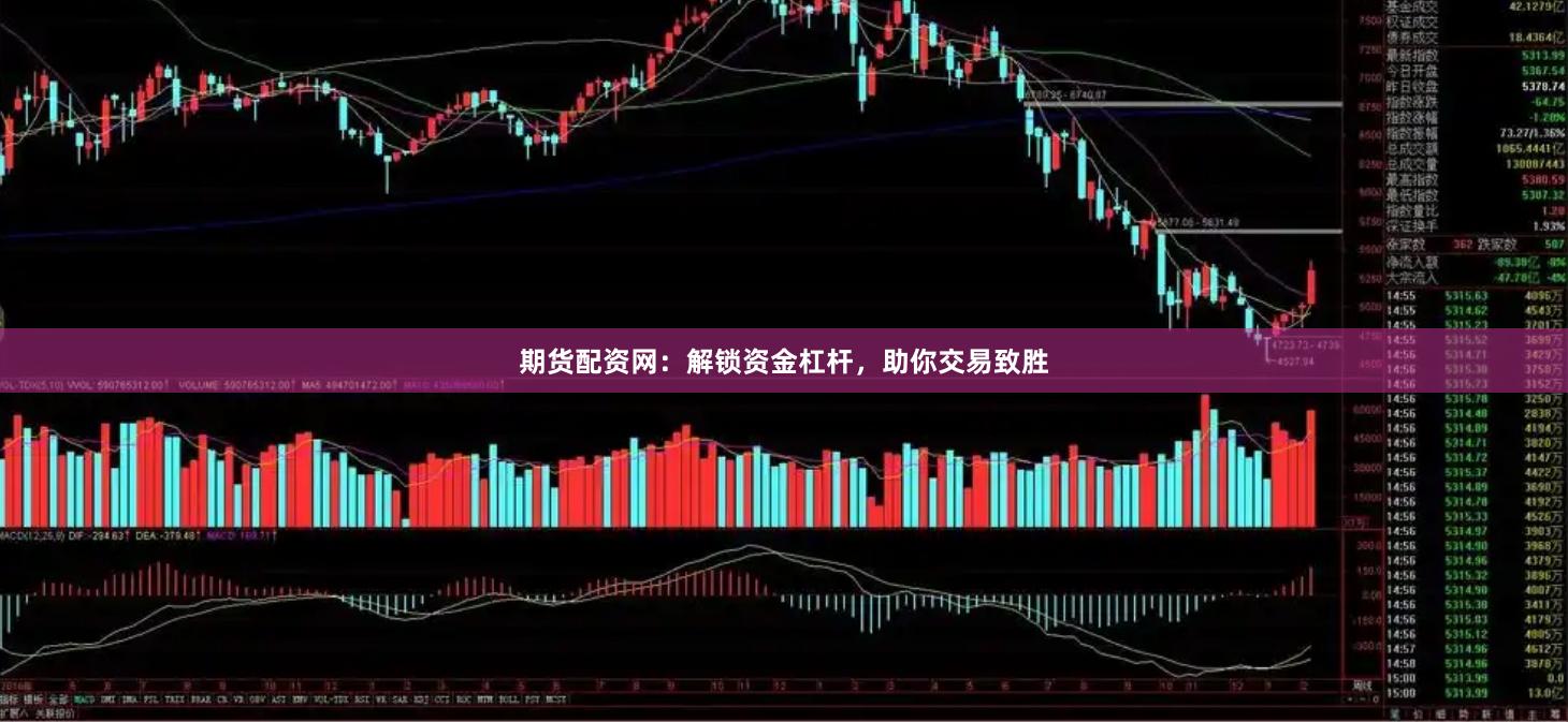 期货配资网：解锁资金杠杆，助你交易致胜